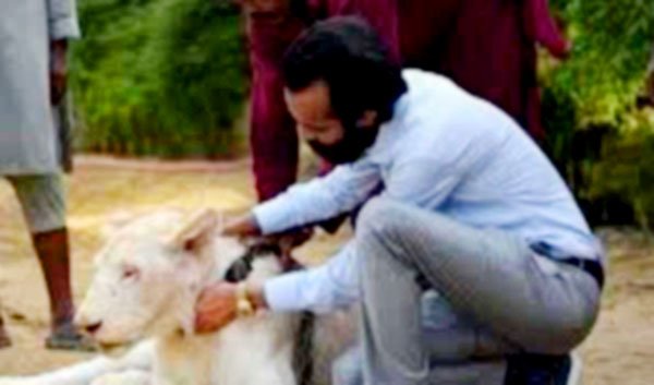 टिकटॉक वीडियों बनाने वाला व्यक्ति शेर का बच्चा रखने के आरोप में गिरफ्तार