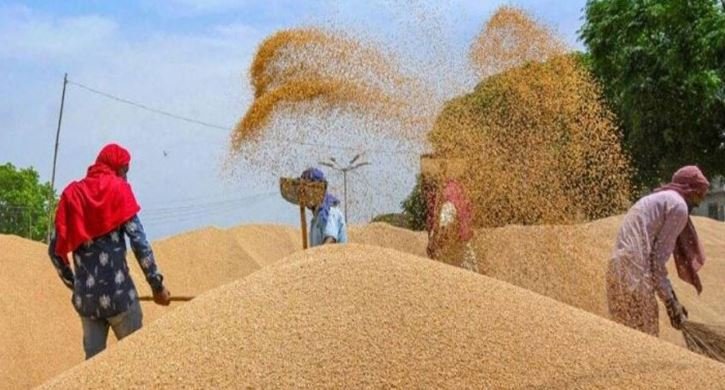 गेहूँ उपार्जन के लिये 31 मार्च तक होगा पंजीयन