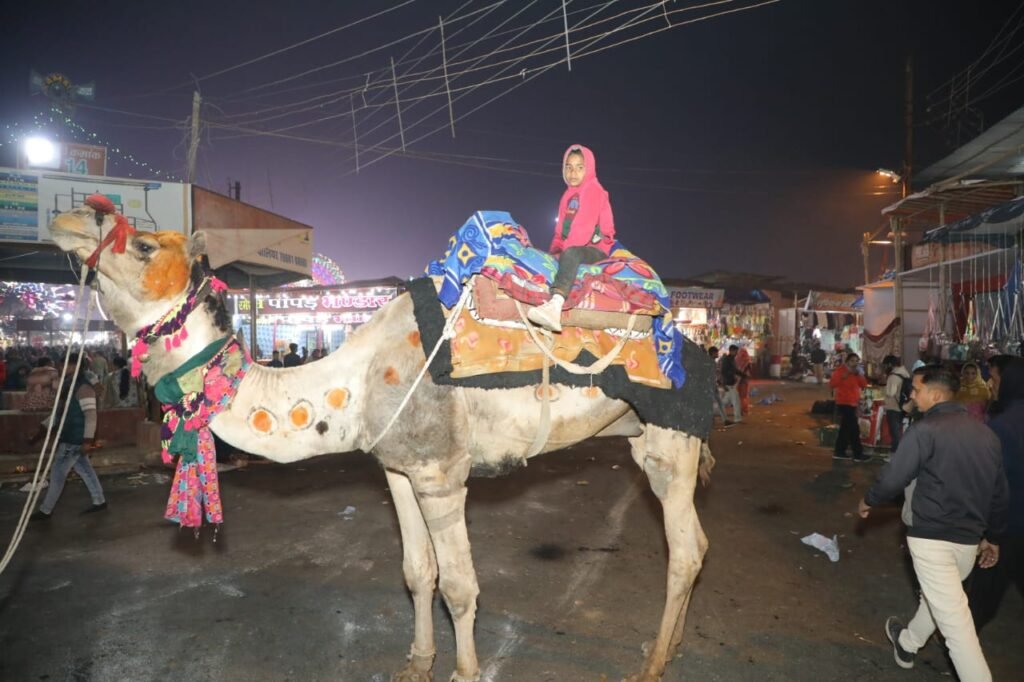 मेले में सैलानियों को खूब भा रही है रेगिस्तान के जहाज की सवारी