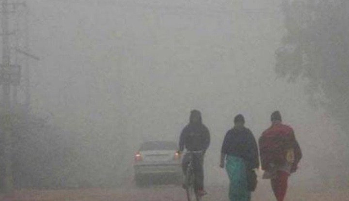 शीत लहर के आगोश में पहुंच रहा है समूचा जिला, बढ़ी ठिठुरन