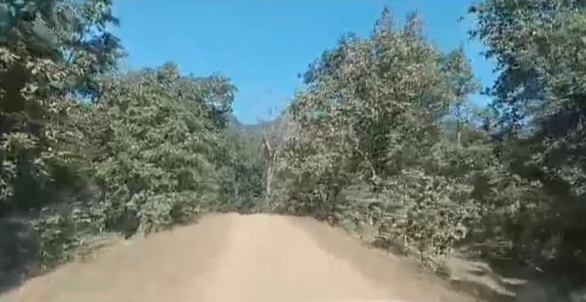 स्पेशल हॉक फोर्स के जवानों को देख नक्सली भागने में हुए कामयाब