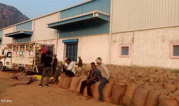 उपार्जन केन्द्रों से 9 लाख क्विंटल धान का हुआ परिवहन