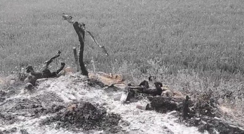 दो आदिवासी मासूम भाईयों की रखवाली के लिए बनी झोपड़ी मे आग लगने से दर्दनाक मौंत