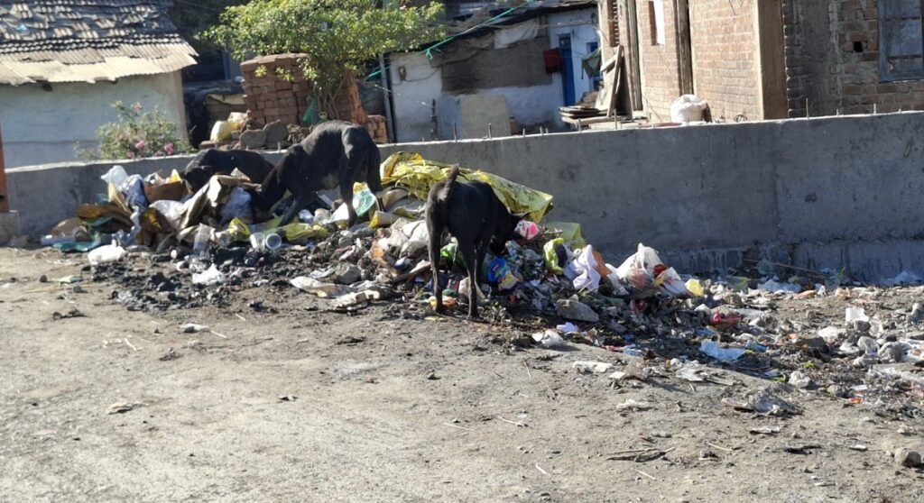 खुले पड़े नालों की गंदगी और बदबू से परेशान आमजन