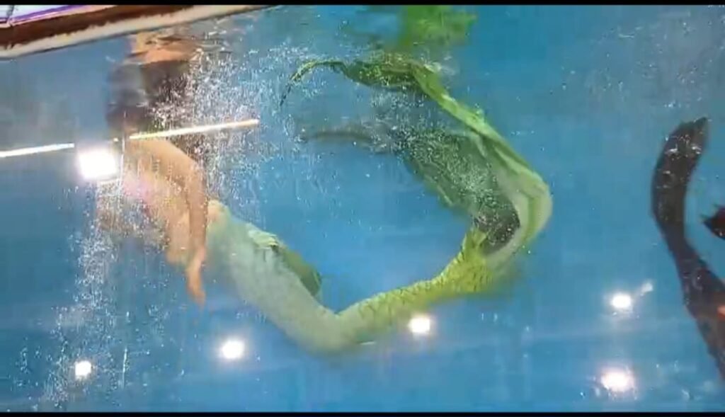 मेले के इतिहास में पहली बार आई जलपरी देखने सैलानियों की भीड़ उमड़ी