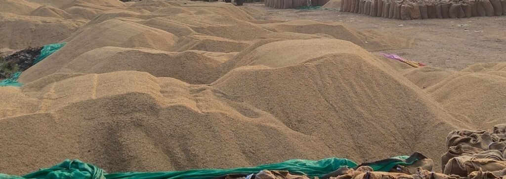 करोड़ों की खरीदी धान, नहीं किया भुगतान