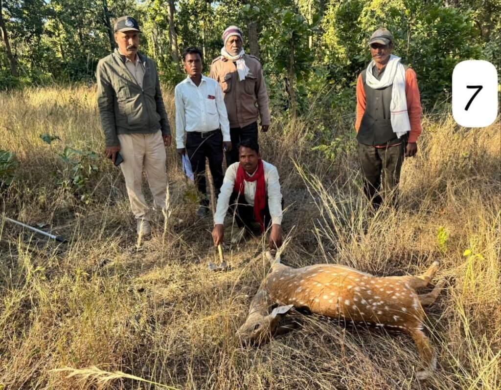 चीतल के शिकार मामले में दो आरोपी गिरफ्तार