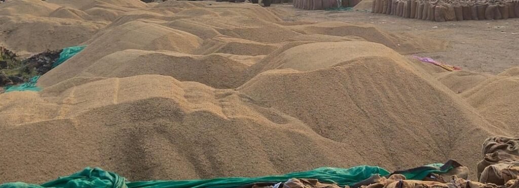  खरीदी खत्म तो जांच से भी बच गई समिति