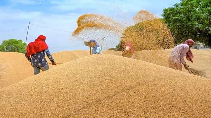 समर्थन मूल्य पर गेंहू खरीदी के लिए पंजीयन आज से शुरू