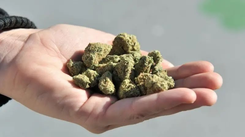 सात किलो गांजा के साथ तस्कर पकड़ाया