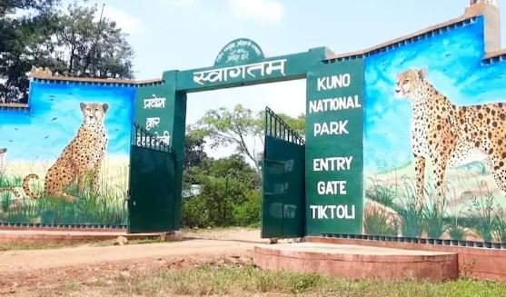 कूनो नेशनल पार्क में चीता मित्र सम्मेलन