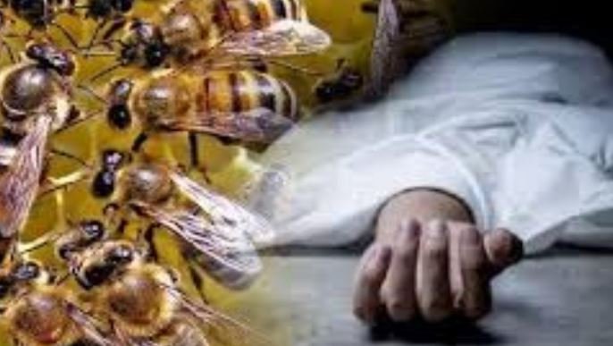 धार्मिक आयोजन के दौरान मधुमक्खी के हमले से एक की मौत, दस घायल