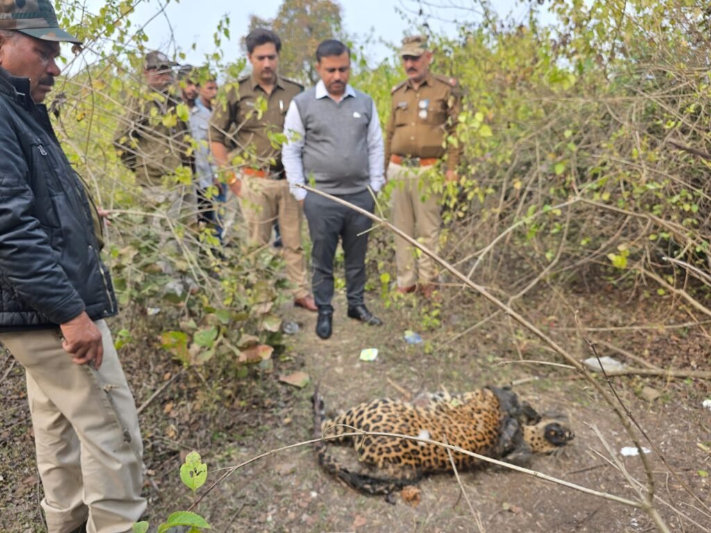 शिकारी पारधी गिरोह की तलाश में वन विभाग 