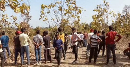 बाघ की हलचल से बफरजोन से सटे गांवों में सर्तकता बढ़ी 