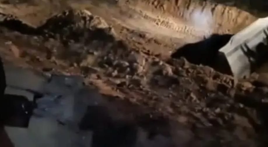 अवैध कोयला खदान धंसी, पति पत्नि की मौत 