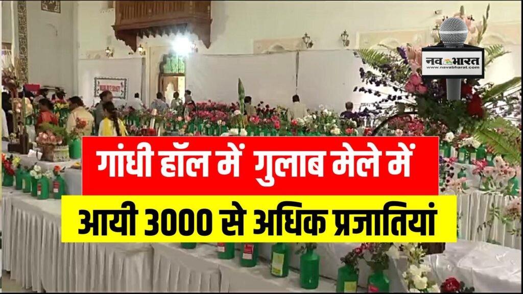 गांधी हॉल में  गुलाब मेले में आयी 3000 से अधिक प्रजातियां