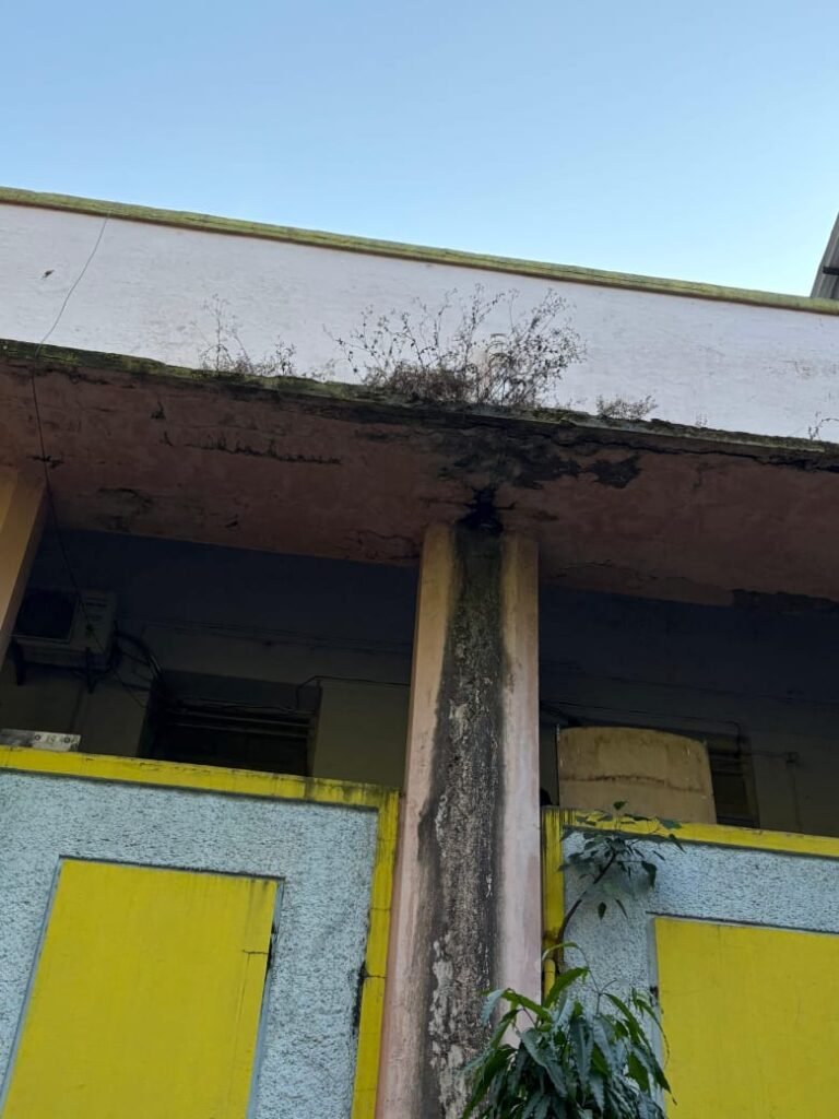 सदियों पुराना कलेक्ट्रेट, मेंटेनेंस के बावजूद दिख रहा जर्जर