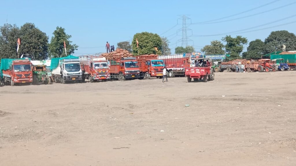 मटर की आवक हुई कम, मंडी में सन्नाटा