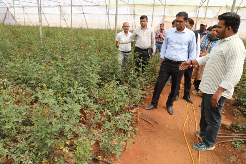 बॉयोमास बनाने वाली इकाईयों का कलेक्टर ने किया अवलोकन