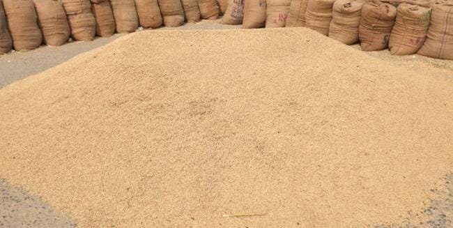 खांड समिति से 6000 क्विंटल धान गायब