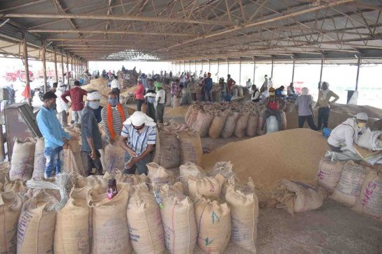 गोदामों में रखे धान को जब्त कर धान की नीलामी करने के निर्देश