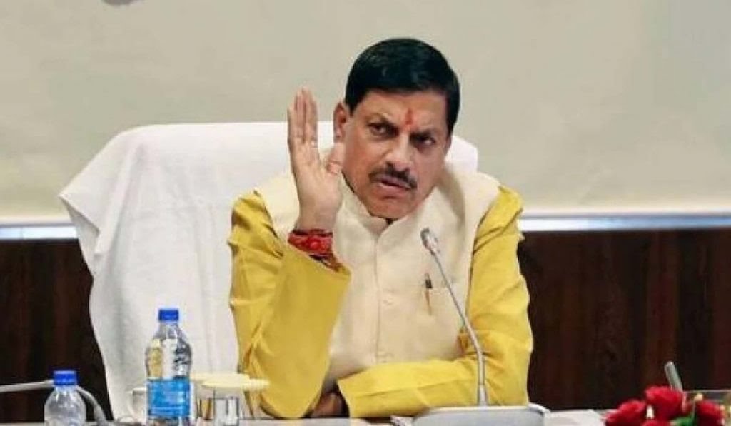 विशाल आकार लेगा औद्योगिक निवेश:यादव