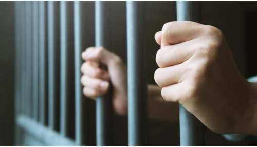 हत्यारे पति को आजीवन कारावास