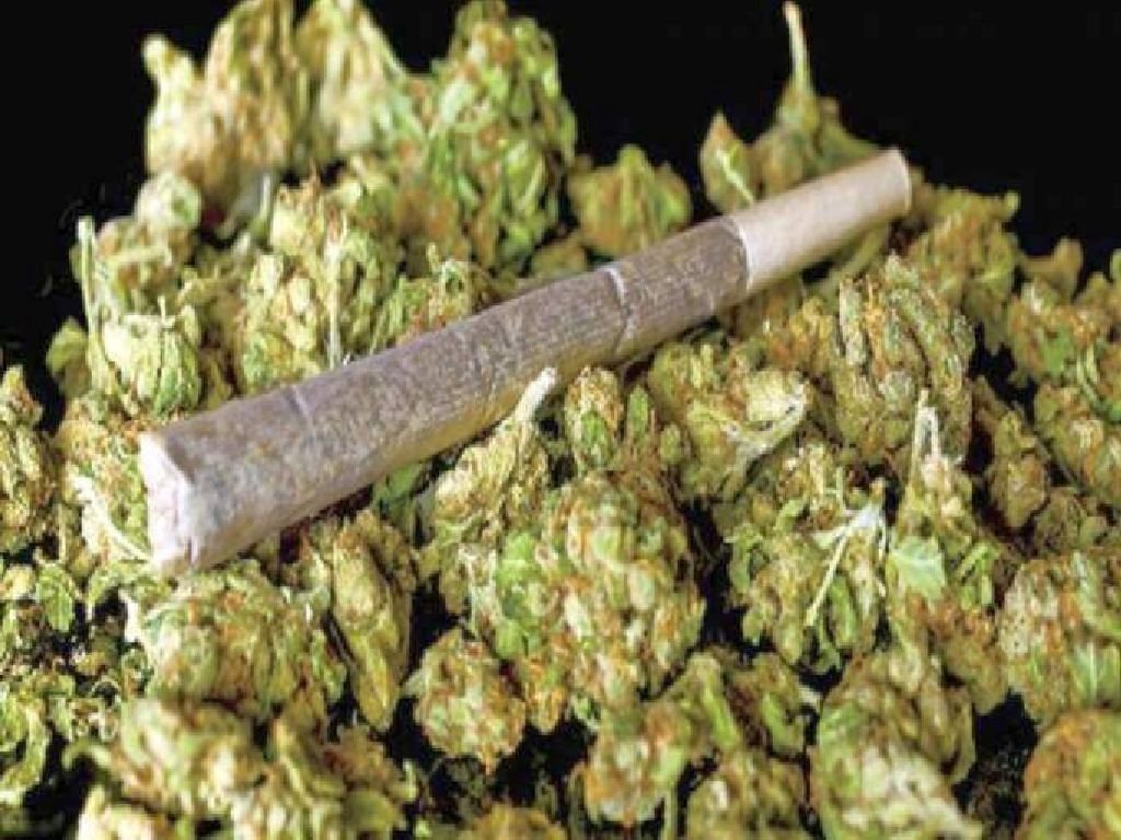 गांजे के साथ दो गिरफ्तार