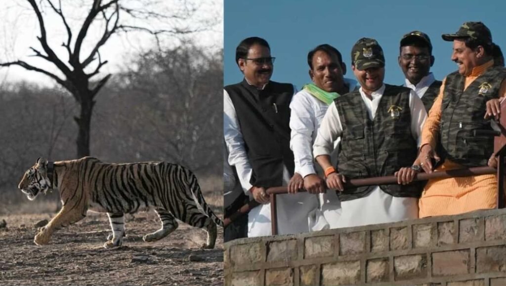 शिवपुरी को मिली माधव टाइगर रिजर्व की सौगात