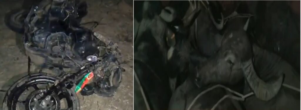 वन विभाग की गस्ती टीम देखकर भागने लगे पशु तस्कर