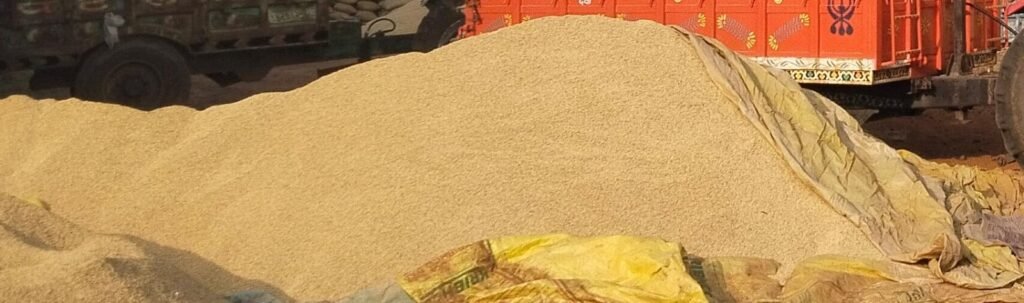 धान पोर्टल पर चढ़ाने वाले सर्वेयर अब भी बचे 