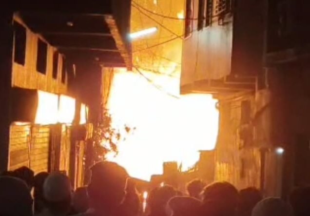 कलेक्टर ने लकड़ी टाल संचालक पर FIR कराने के निर्देश दिए 