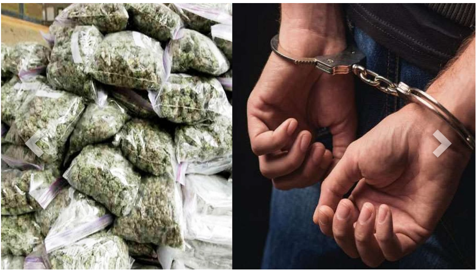 आठ किलो गांजा के साथ दो सौदागर पकड़ाए