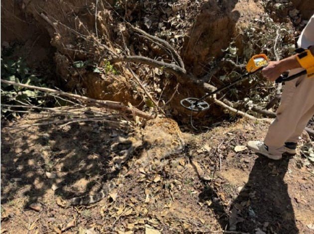 गश्त के दौरान मिला तेदुएं का शव