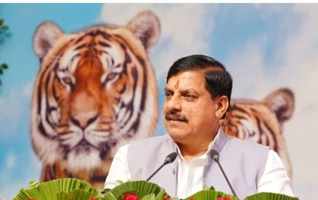 माधव राष्ट्रीय उद्यान “टाइगर रिजर्व” में 10 मार्च को छोड़ा जायेगा बाघ का जोड़ा