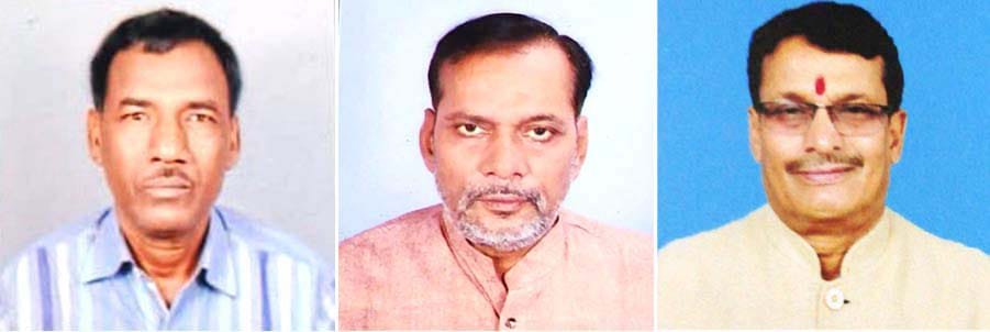 सेवानिवृत्त कोयला खदान मजदूर संघ की जोनल समिति गठित