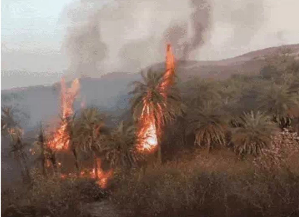 बबीना आर्मी कैंट की फायरिंग रेंज में लगी भीषण आग, बारूद फटने से धमाका