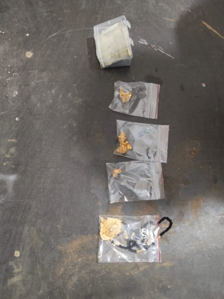 नकबजनी की वारदात को अंजाम देने वाले दो गिरफ्तार