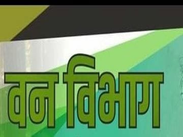 फॉरेस्ट कर्मचारी से विवाद के बाद गोलियां चलाईं