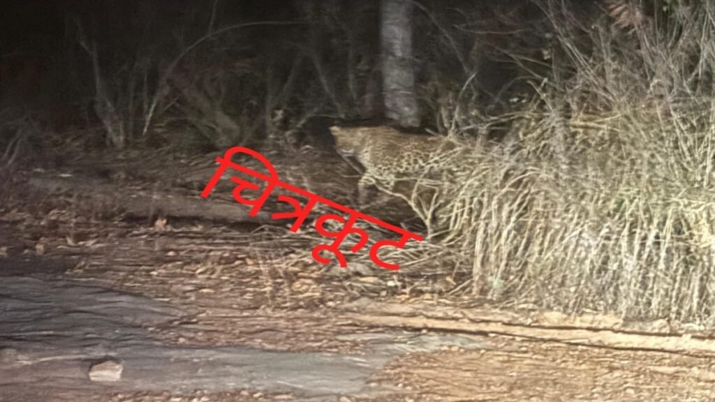 धारकुण्डी आश्रम के निकट दिखा तेंदुआ