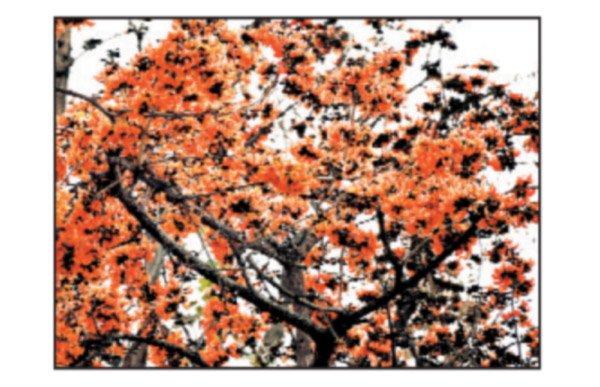 मार्च के पहले सप्ताह में बारिश के आसार