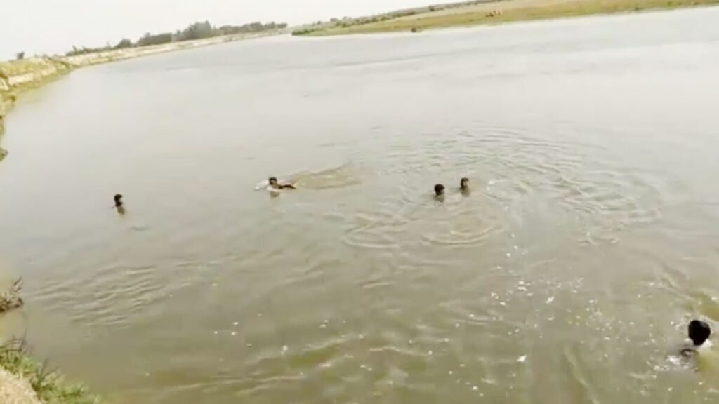 मवेशी चराने गए किसान की नहर में डूबने से मौत