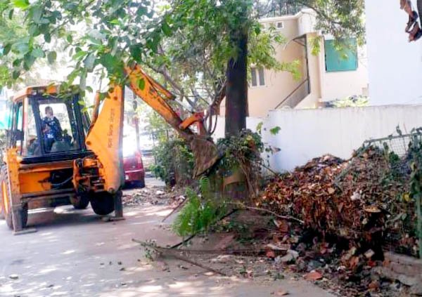 भरत नगर में अवैध रूप से लगाई हुई फेंसिंग तोड़ी