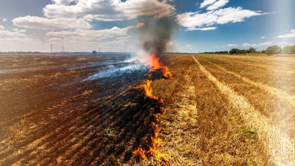 प्रतिबंधात्मक आदेश फिर भी जल रही नरवाई