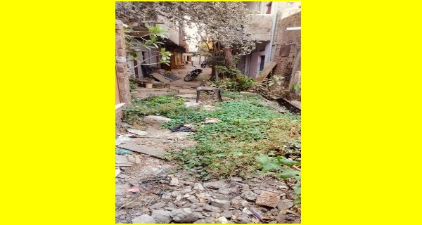 नारियल खेड़ा क्षेत्र में पसरी गंदगी, नहीं उठ रहा घरों का कचरा