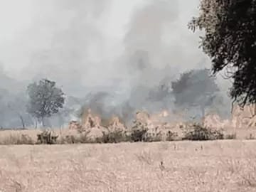 गेंहूं के खेत में भड़की आग, चंद लम्हों में खाक हो गई 35 एकड़ फसल