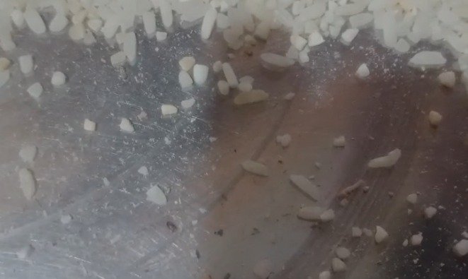 भोपाल में गरीबों के राशन निकलीं इल्लियां, खाद्य विभाग ने दिया जांच का आदेश