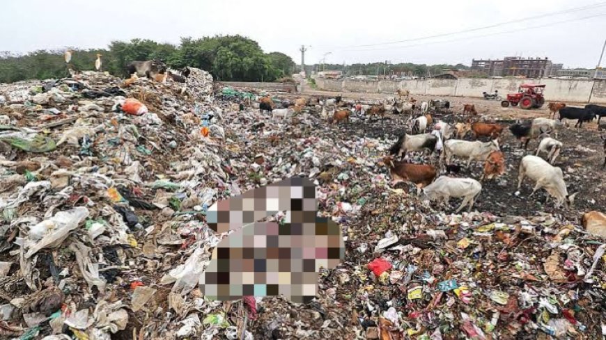 कचरे के ढेर में मानव अंग मिला 