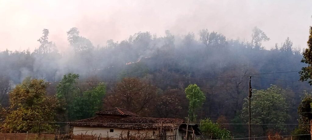 सकरिया के बाद धवई व शेरवा के जंगल में लगी भीषण आग