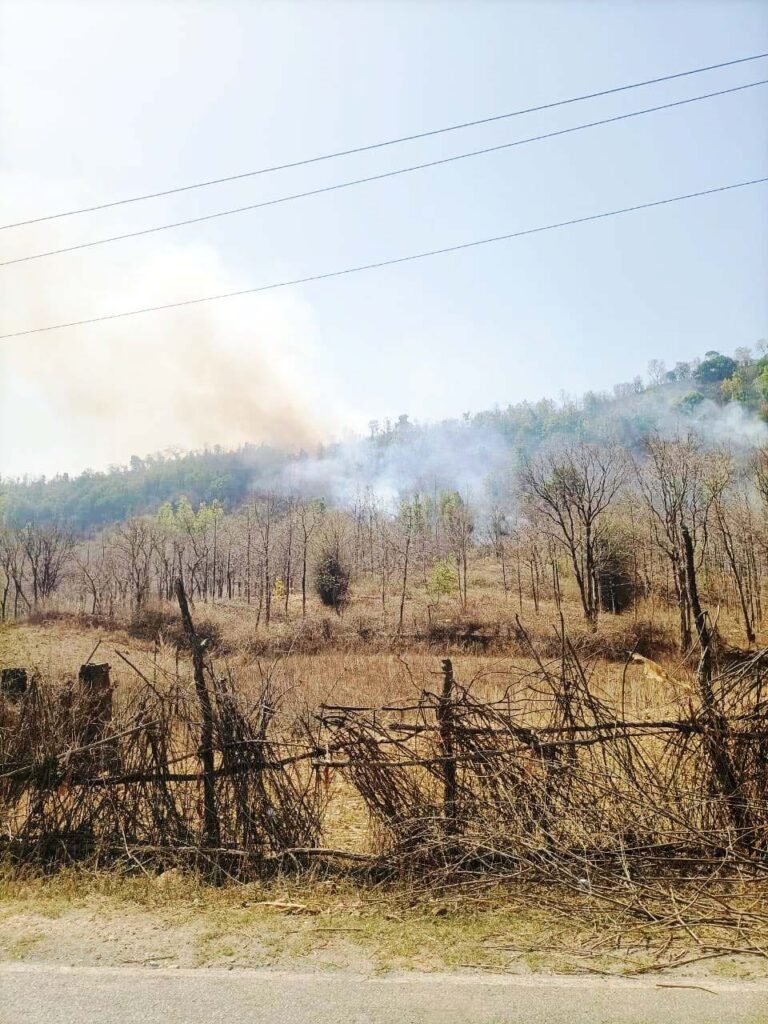 धू-धूकर जल रहा बगदरा कला का जंगल